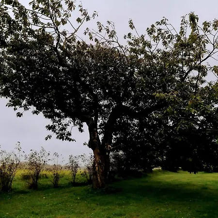 Bright House Retreat - By Traum *